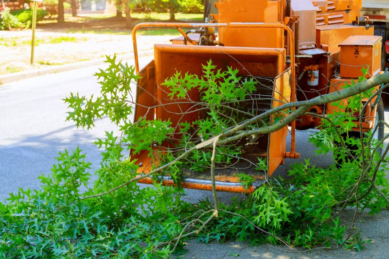 Limb Mulching Service