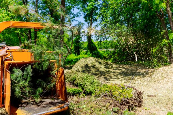 Brush Chipping Service