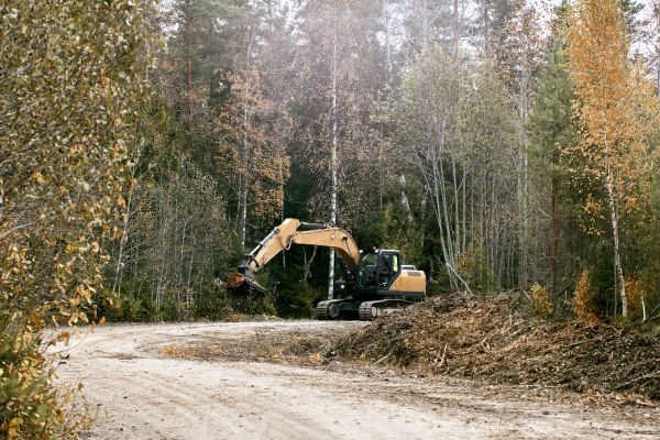 Brush Mulching