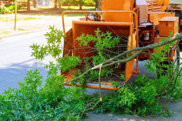 Branch Mulching