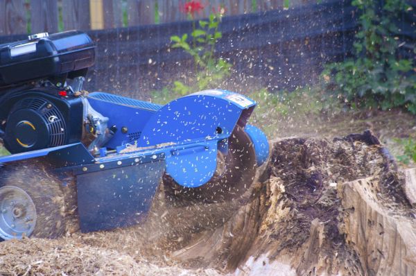 Wood Grinding