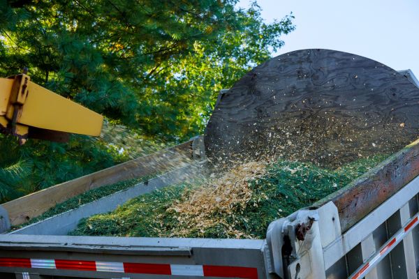 Tree Mulching