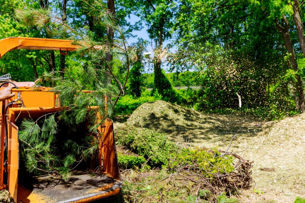 Tree Chipping