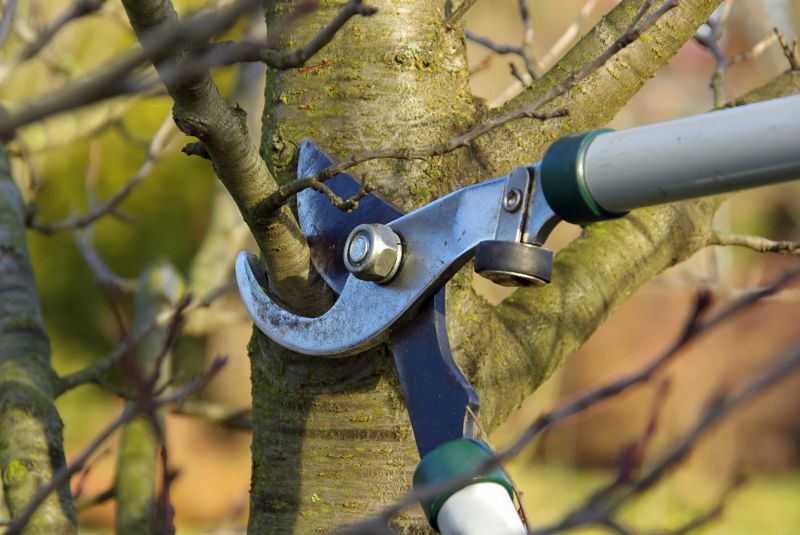 Limb Mulching