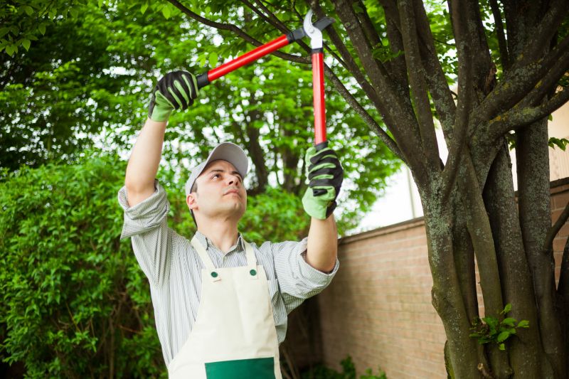 Limb Mulching