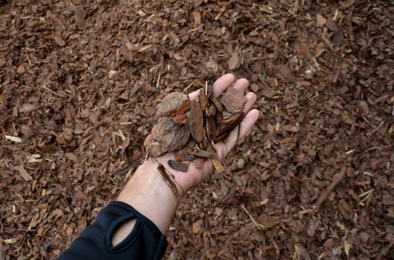 Fall Limb Mulching Process