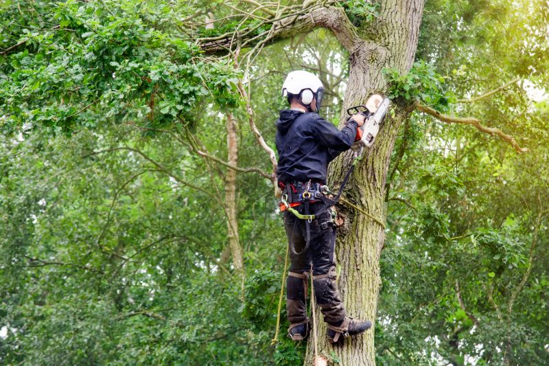 Arborist with Safety Gear