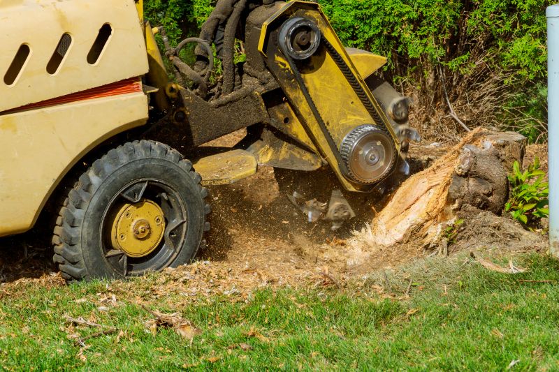 Equipment for Limb Mulching
